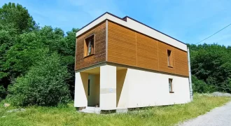 11010 Продам сучасний будинок на курорті Поляна