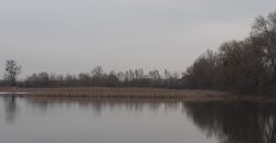 12005 Будинок біля води в оренду