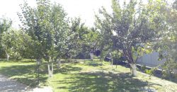 Сдается в аренду дом с. Осещина, Вышгородский р-н