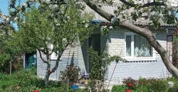 Продам Дачу, дачный дом с участком в с/т Лотос, Вышгородский р-н