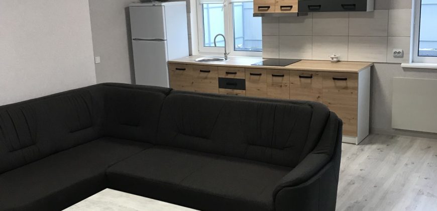 Продам новый дом в с. Осещина, Вышгород