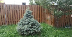 Сдам в аренду на длительный срок жилой дом в Межречьи, Вышгород.