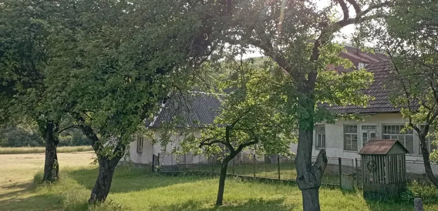 11006 Продам будинок з великою ділянкою біля річки, Павлове 68.000 USD