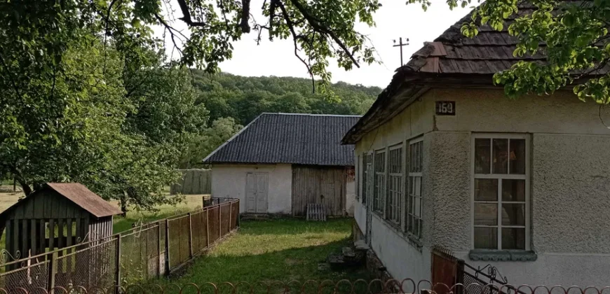 11006 Продам будинок з великою ділянкою біля річки, Павлове 68.000 USD