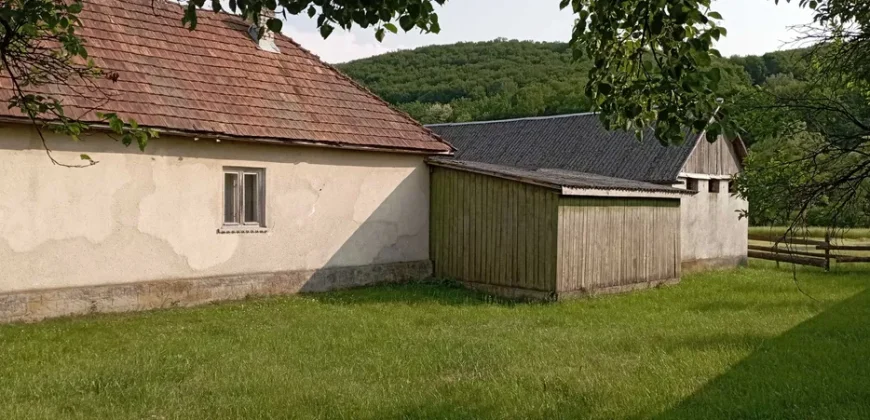 11006 Продам будинок з великою ділянкою біля річки, Павлове 68.000 USD
