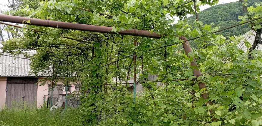 11007 Продам будинок в курортному містечку Солочин, 34.000 USD