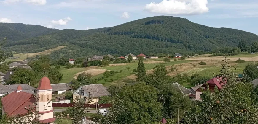 11011 Продам будинок на курорті Поляна, Закарпатська область