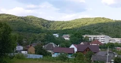 21012 Продам ділянку у с. Пасіка Закарпатської області