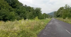 21012 Продам ділянку у с. Пасіка Закарпатської області