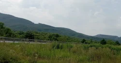 21012 Продам ділянку у с. Пасіка Закарпатської області