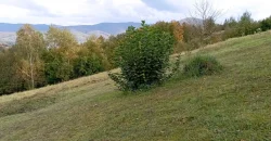 21014 Продам чудову ділянку в чудовому місці, курорт Поляна, Закарпатська обл.