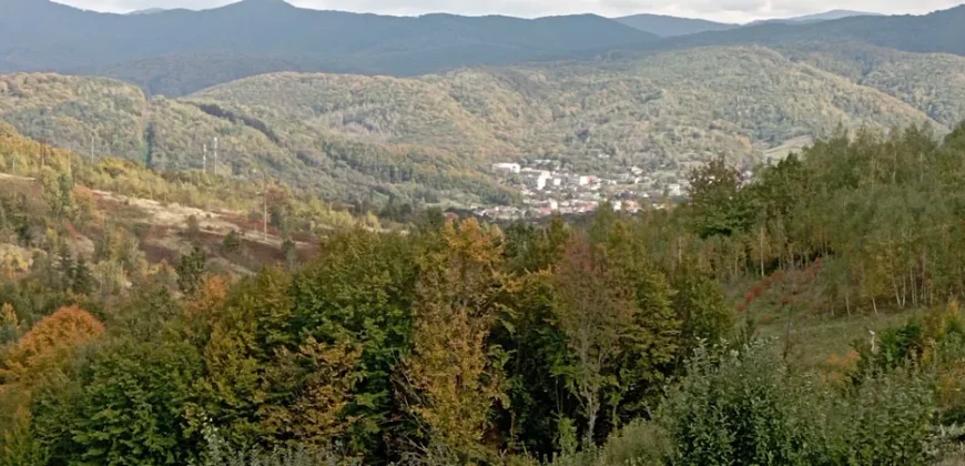 21014 Продам чудову ділянку в чудовому місці, курорт Поляна, Закарпатська обл.