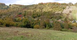 21014 Продам чудову ділянку в чудовому місці, курорт Поляна, Закарпатська обл.