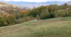 21014 Продам чудову ділянку в чудовому місці, курорт Поляна, Закарпатська обл.