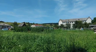 21019 Продаю земельну ділянку у с. Плоске Закарпатської області