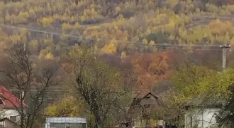 21022 Продам земельну ділянку 10 соток с. Неліпино Закарпатська область